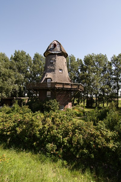 (c) m. mueller - bild 01.jpg